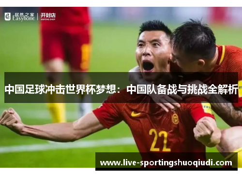 中国足球冲击世界杯梦想：中国队备战与挑战全解析