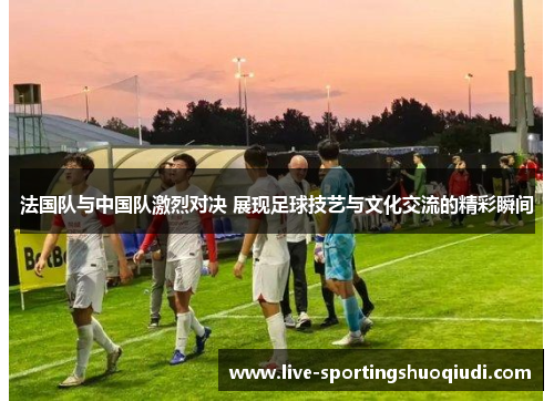法国队与中国队激烈对决 展现足球技艺与文化交流的精彩瞬间